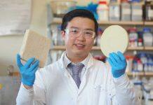 Environmentally friendly ‘biofoam’ could address plastic pollution crisis