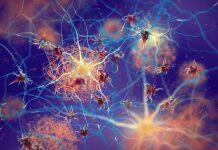 New research provides hope for drug treatment to slow neurodegenerative disease