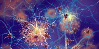 New research provides hope for drug treatment to slow neurodegenerative disease