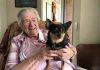 Using pets to support healthy ageing – pilot study