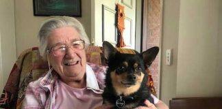 Using pets to support healthy ageing – pilot study