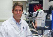 New clue discovered for how and why cancer cells spread