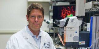 New clue discovered for how and why cancer cells spread