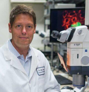 New clue discovered for how and why cancer cells spread