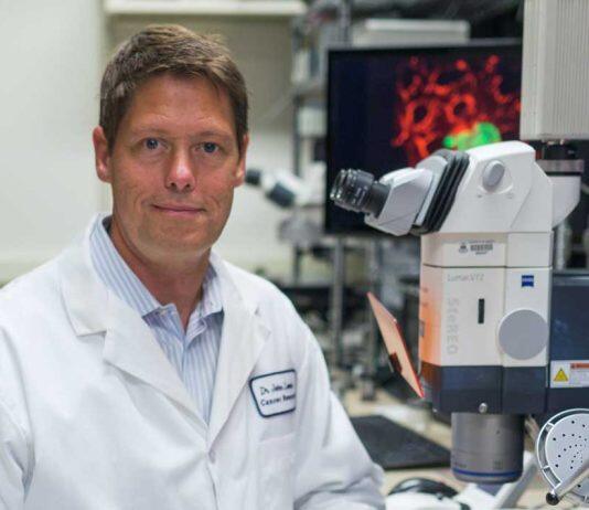 New clue discovered for how and why cancer cells spread