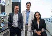 ‘Billions of tiny soldiers:’ Researchers harness bacteria-eating viruses to create a powerful new weapon against contamination and infection