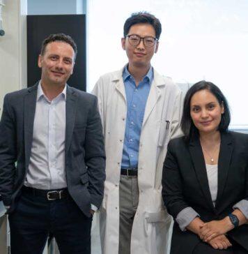 ‘Billions of tiny soldiers:’ Researchers harness bacteria-eating viruses to create a powerful new weapon against contamination and infection