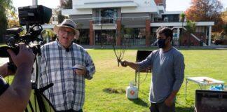 Lincoln’s online offerings recognised in worldwide awards