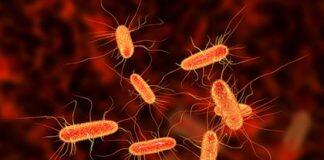 Harnessing the healing power within our cells