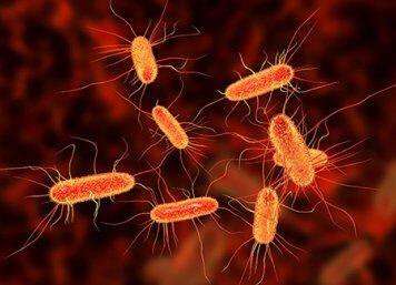 Harnessing the healing power within our cells