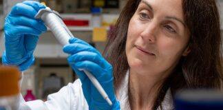 ANU researchers closer to finding new lung cancer treatments