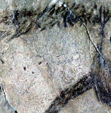 New study reveals evidence of early Ice Age writing and what it meant