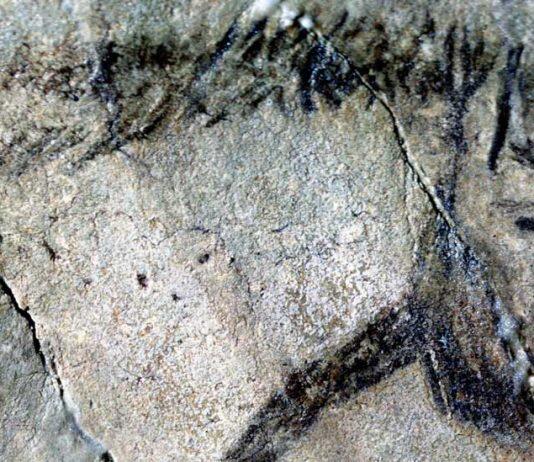 New study reveals evidence of early Ice Age writing and what it meant