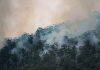 How to protect yourself against bushfire smoke this summer