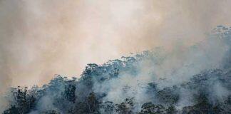 How to protect yourself against bushfire smoke this summer