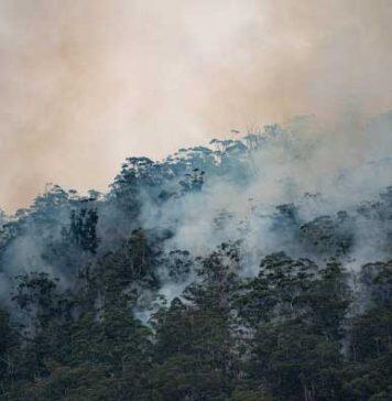 How to protect yourself against bushfire smoke this summer