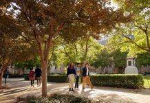 Funding supports vital diabetes research