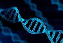 Global study identifies genes that cause sarcoma