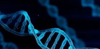 Global study identifies genes that cause sarcoma