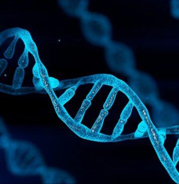 Global study identifies genes that cause sarcoma