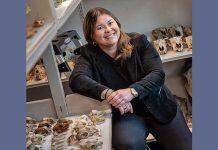 Extracting stories from teeth