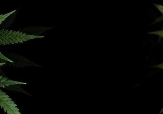 Limited evidence that cannabis ‘hangover’ blunts performance