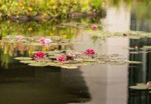 Progress on the University’s Climate Plan recognised in expert review