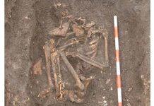 Mysterious skeleton revealed to be that of unusual Lady Anchoress of York Barbican