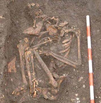 Mysterious skeleton revealed to be that of unusual Lady Anchoress of York Barbican