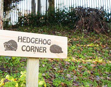 University achieves Gold Accreditation for its hedgehog friendly campus