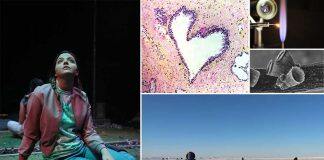 $30M gift will advance ground-breaking research