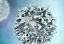 Targeting proteins may lead to MS treatment breakthrough