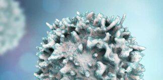 Targeting proteins may lead to MS treatment breakthrough