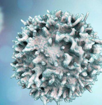 Targeting proteins may lead to MS treatment breakthrough