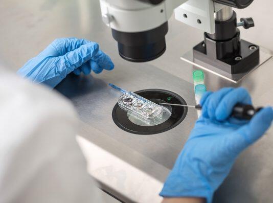 New national IVF clinic success rates released