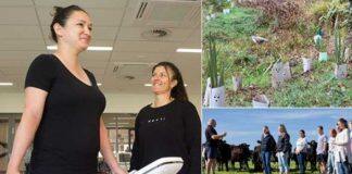 Living Laboratory delivers real-world solutions