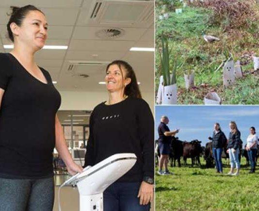 Living Laboratory delivers real-world solutions