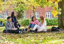 Successes for Southampton in the latest global subject rankings