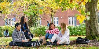 Successes for Southampton in the latest global subject rankings