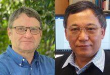 Researchers at the top of their fields elected as Fellows