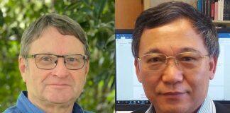 Researchers at the top of their fields elected as Fellows