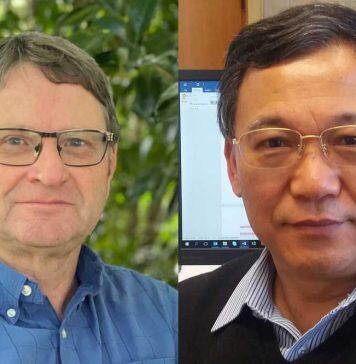 Researchers at the top of their fields elected as Fellows