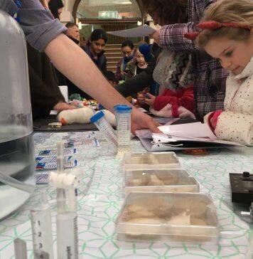 Popular Nottingham Science festival makes its return to Wollaton Hall this month