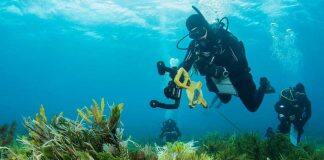 Australian shallow reefs in decline