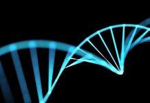 Mental health and pregnancy research in Pakistani and Bangladeshi communities awarded £2 million