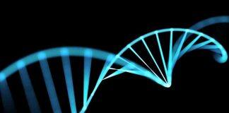 Mental health and pregnancy research in Pakistani and Bangladeshi communities awarded £2 million