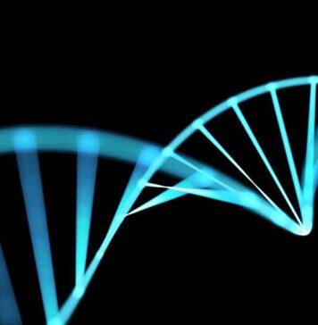 Mental health and pregnancy research in Pakistani and Bangladeshi communities awarded £2 million