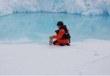 Arctic sea-ice algae attract plastics, new research shows