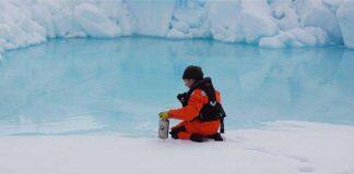 Arctic sea-ice algae attract plastics, new research shows