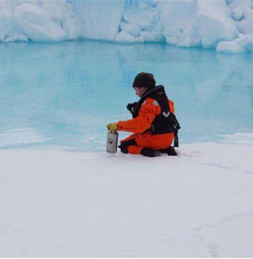 Arctic sea-ice algae attract plastics, new research shows